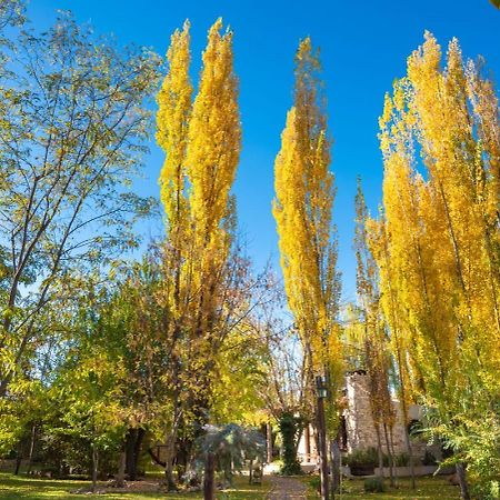 Aromos De Olivares Chacras de Coria Exterior photo