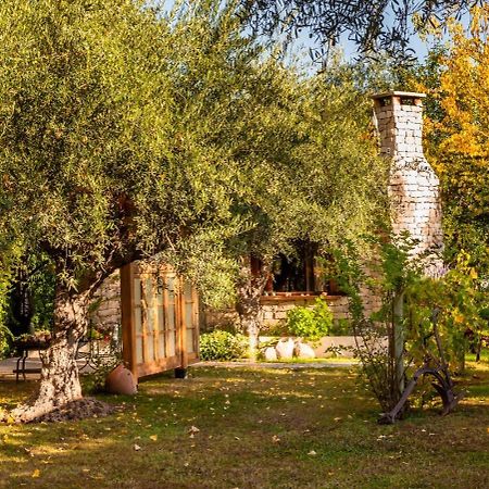 Aromos De Olivares Chacras de Coria Exterior photo