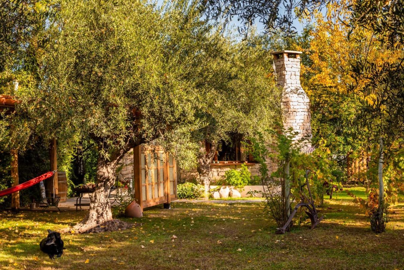 Aromos De Olivares Chacras de Coria Exterior photo